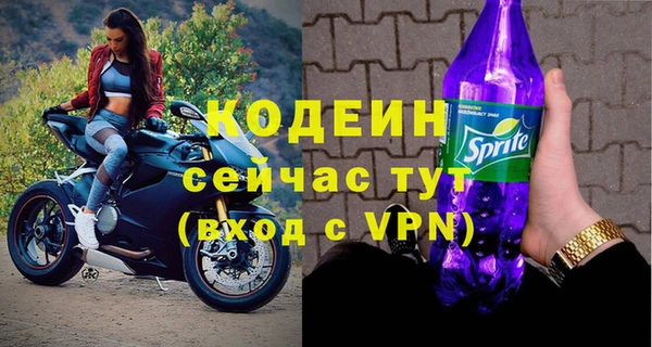 амф Пересвет